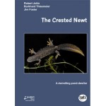 The Crested Newt, A Dwindling Pond Dweller