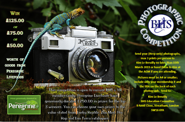 BHS Photography Competition 2019